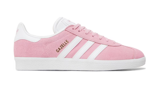 Gazelle 'Pink Glow'