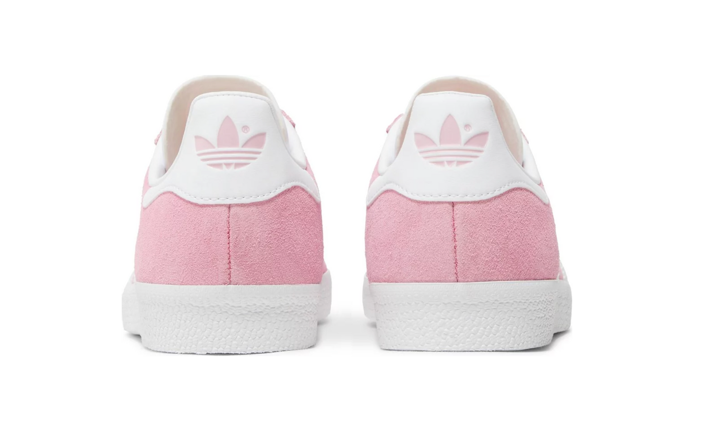 Gazelle 'Pink Glow'