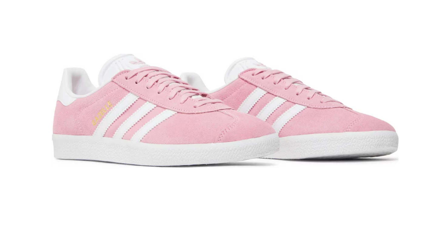 Gazelle 'Pink Glow'